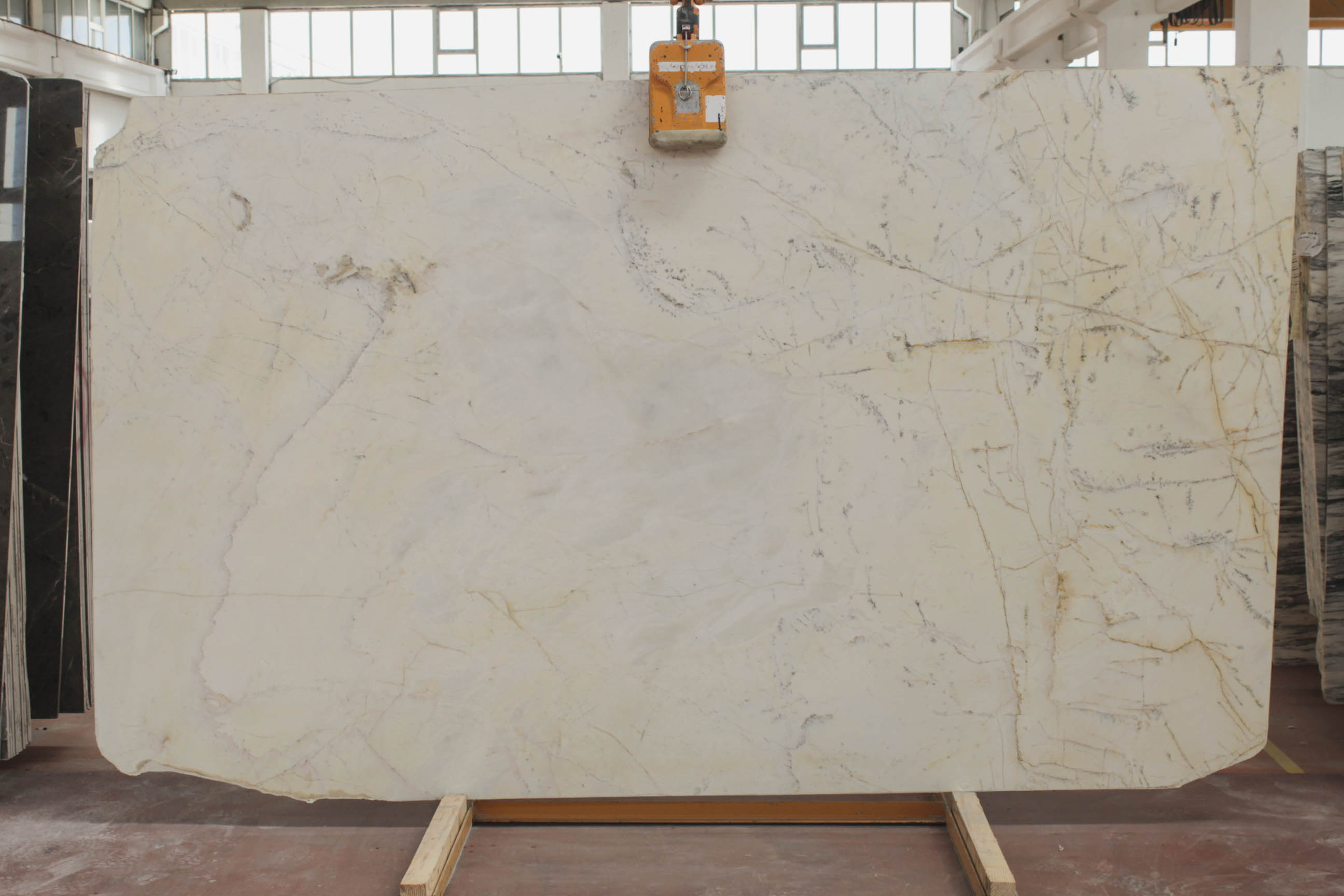 EMOTION SPIDER 2 CM POLISHED