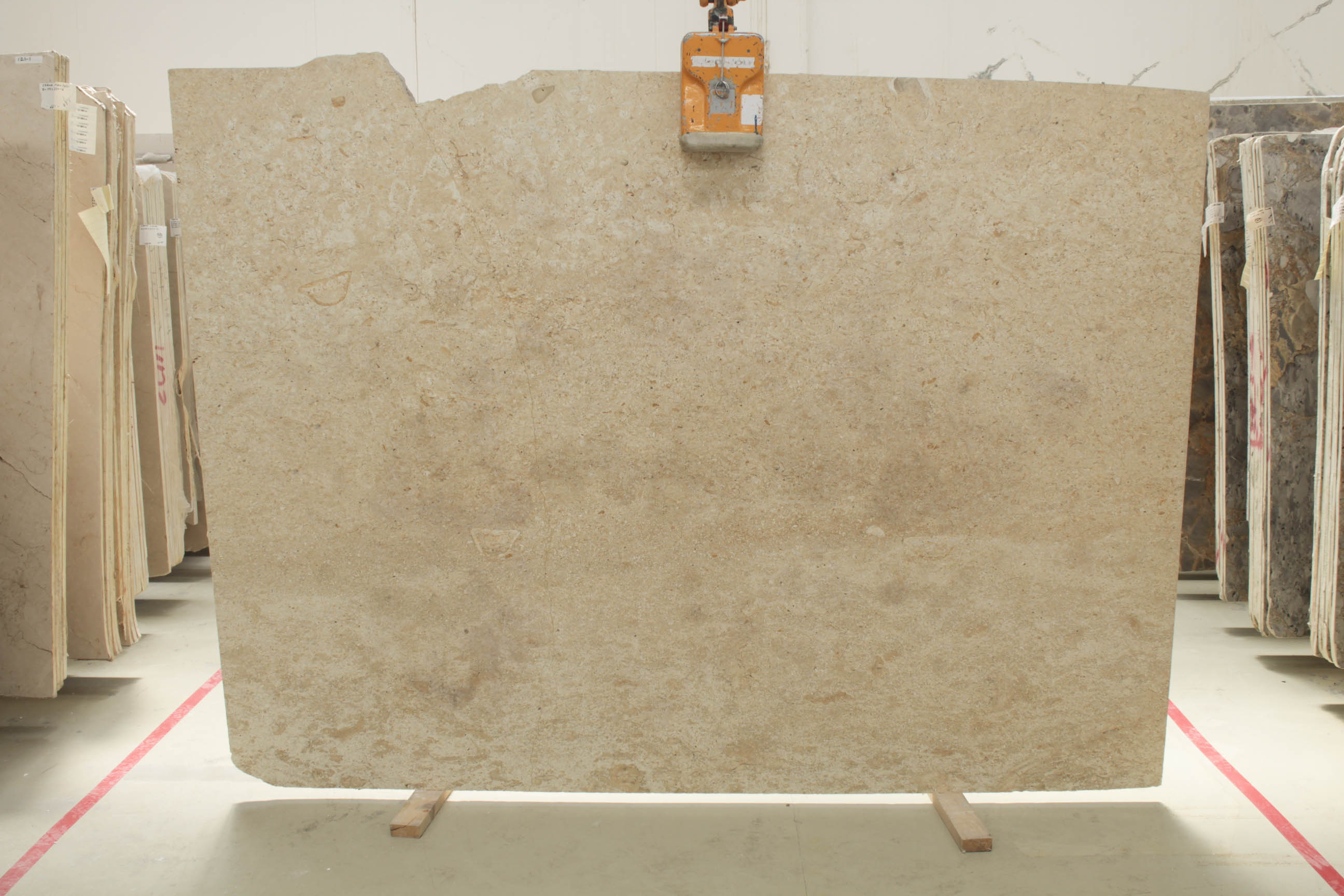 MORE GOLD 3 CM POLISHED