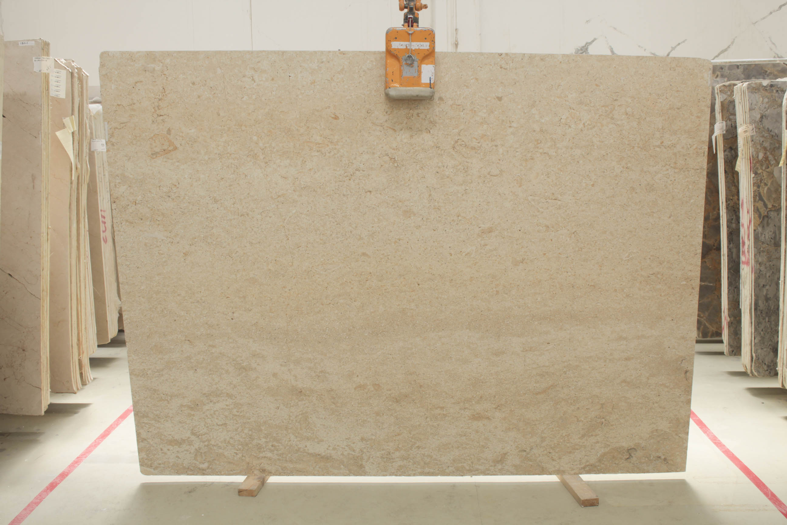 MORE GOLD 3 CM POLISHED