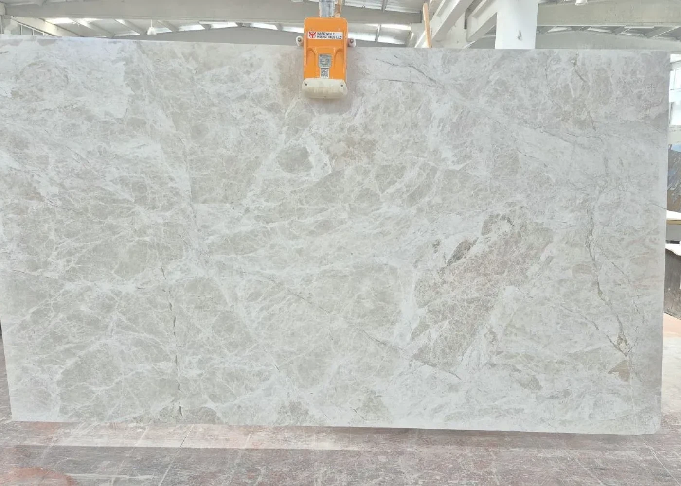 2CM VANİLLA SPIDER