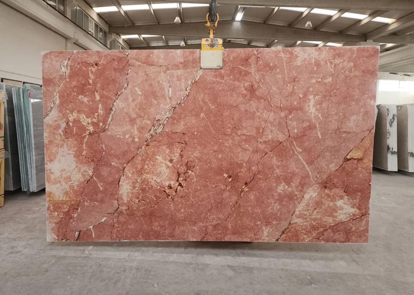 2CM ANATOLİON ROSE